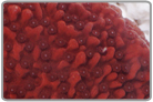 Red Encrusting Montipora